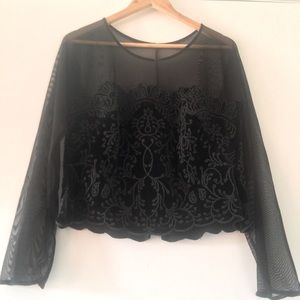Sheer sleeve velvet beaded top